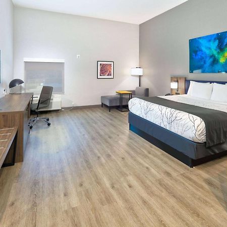 La Quinta Inn & Suites By Wyndham Dallas/Fairpark Extérieur photo